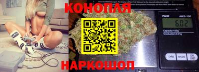 гидропоника Нальчик